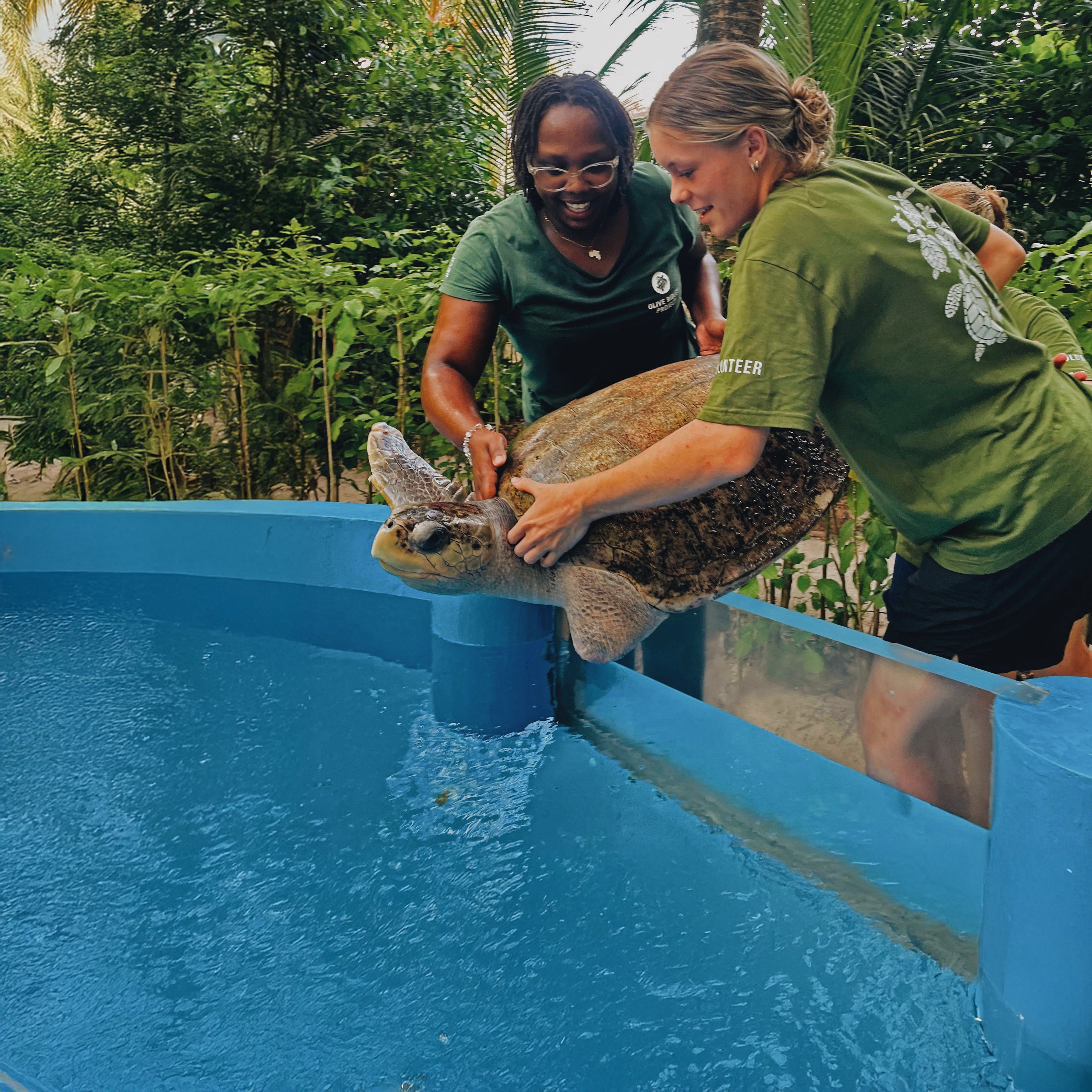 Conservation in Practice: Our Partnership with the Olive Ridley Project