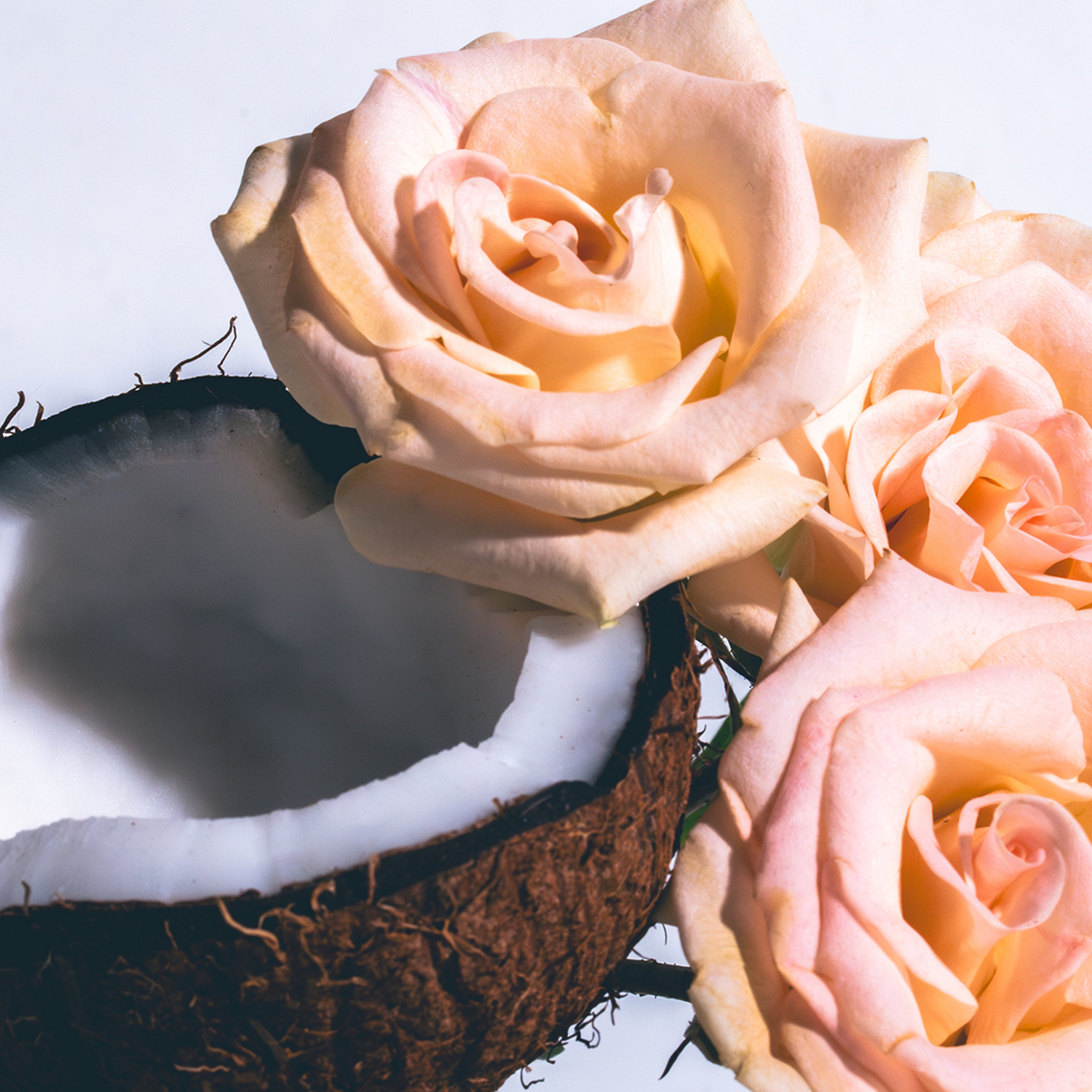 Coconut Flora Candle