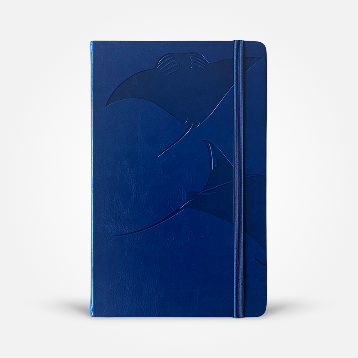 Dance of the Mantas Notebook