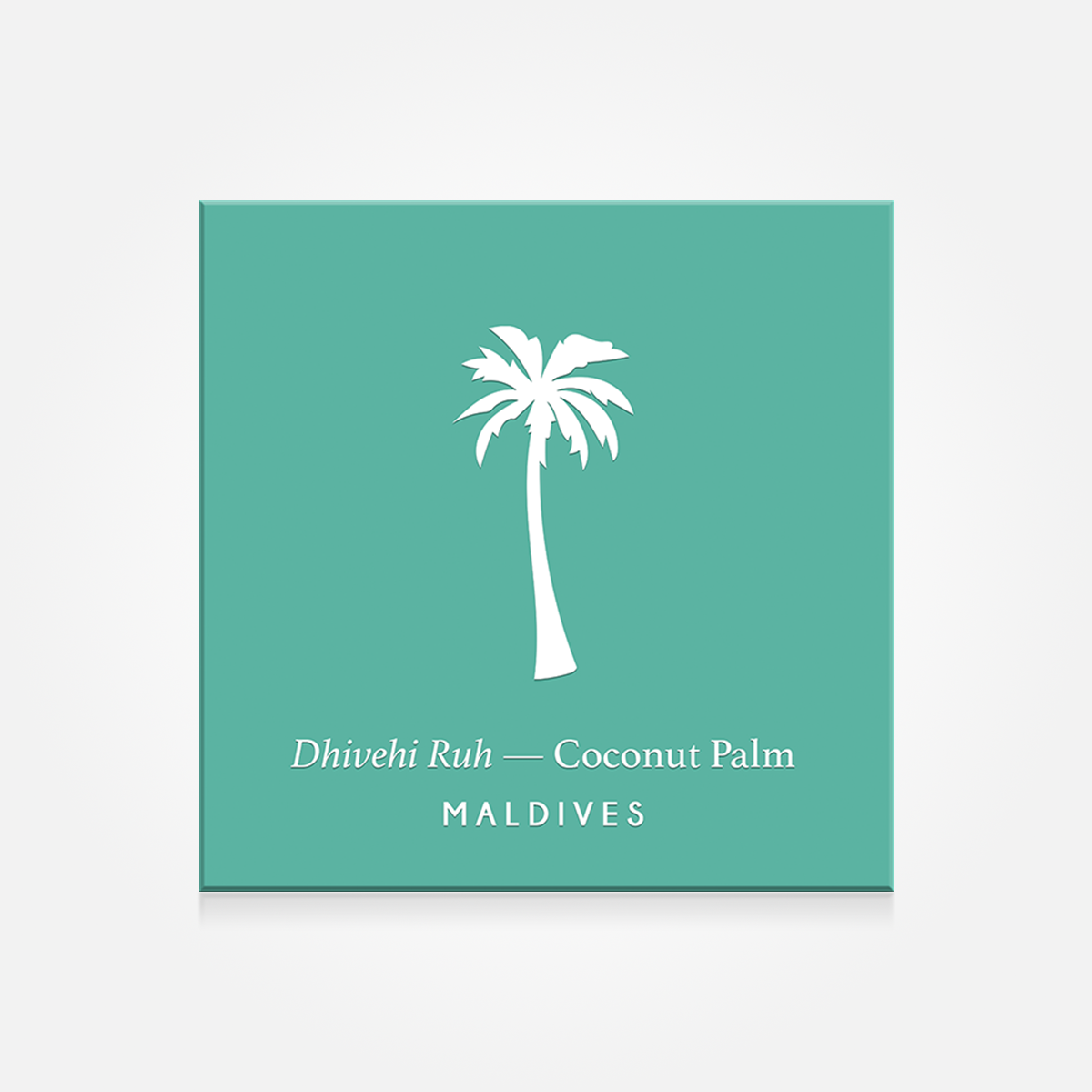 Coconut Palm Magnet