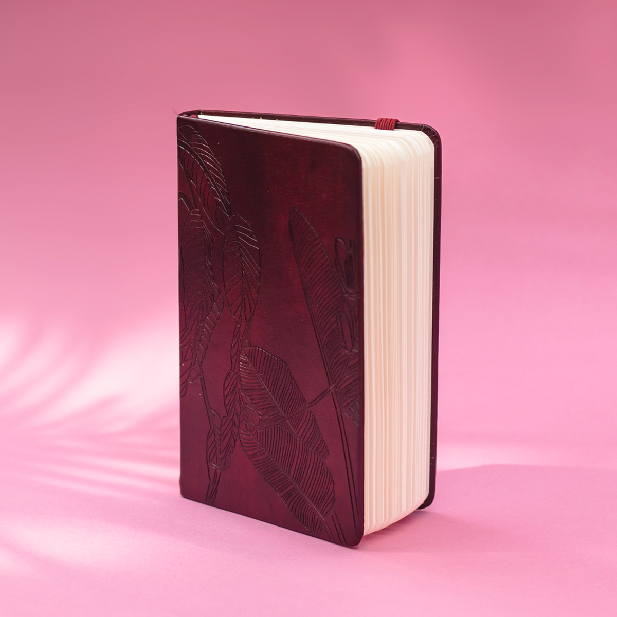 The Island Jungle Notebook