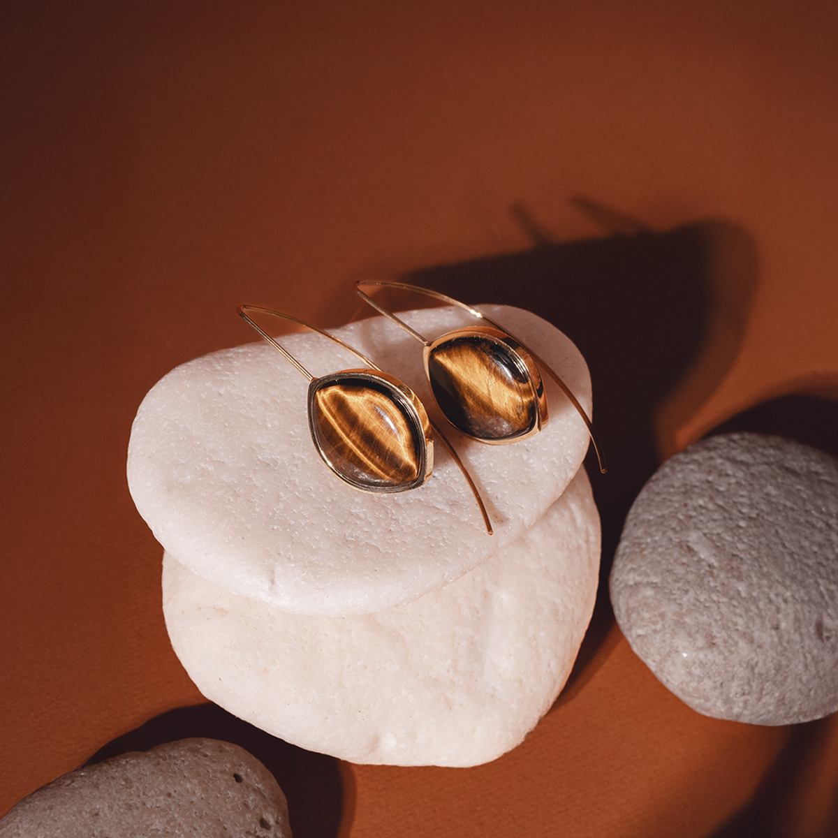 Tiger Eye Stone Earrings (Curved)