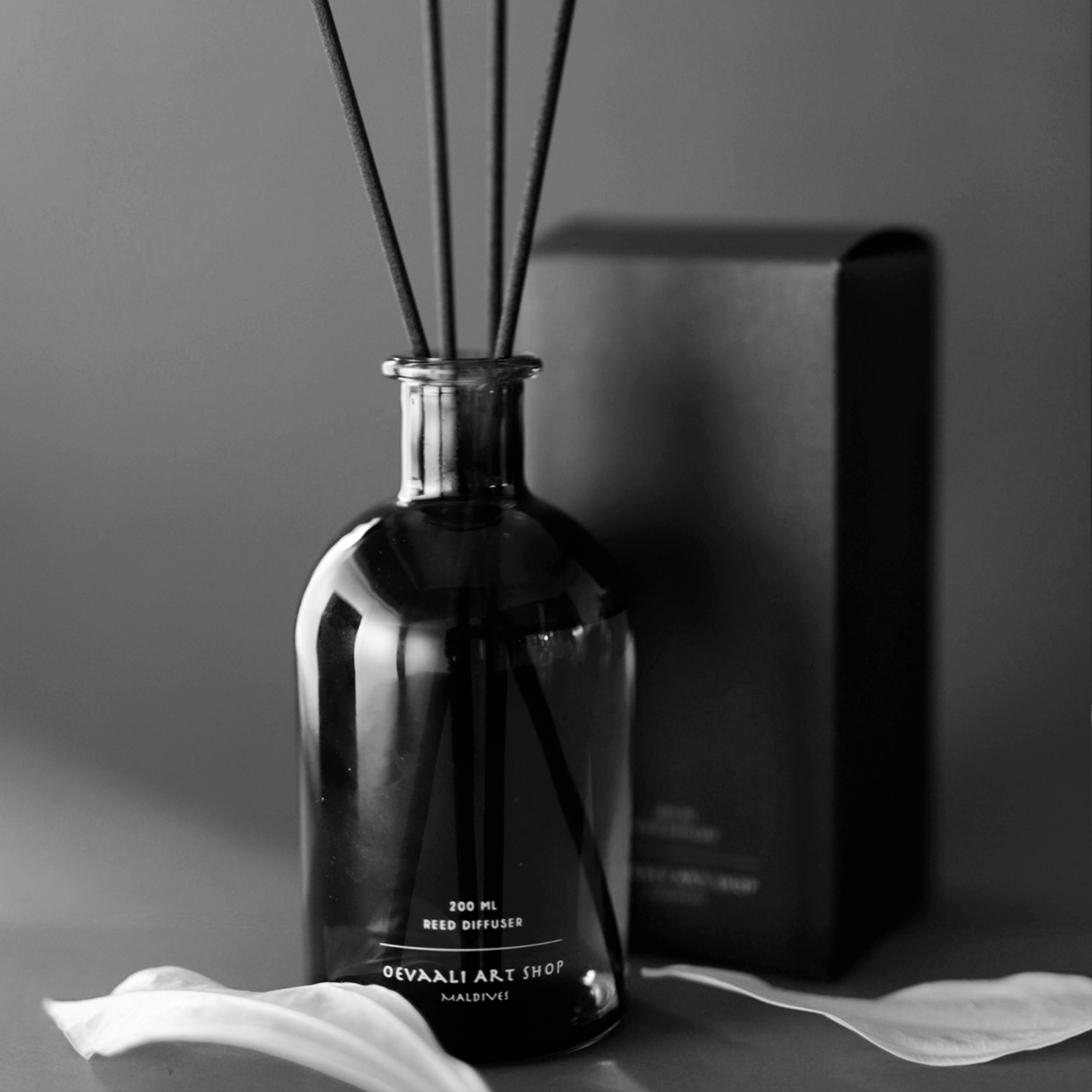 White Sage Reed Diffuser – Oevaali Art Shop