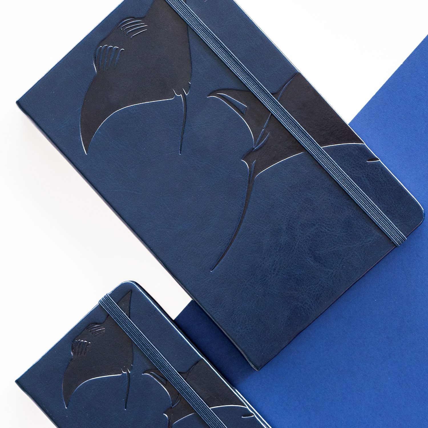 Dance of the Mantas Notebook