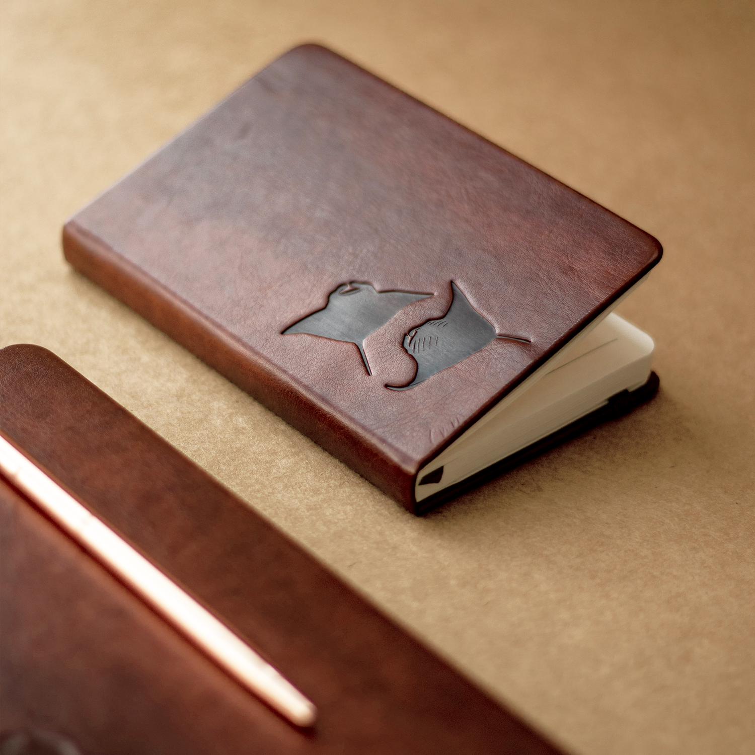 Two Mantas Notebook