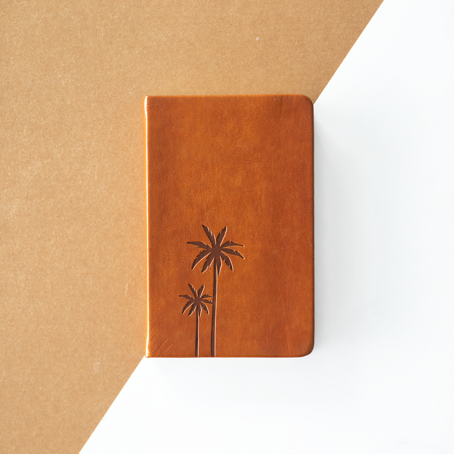 Coconut Palm Notebook